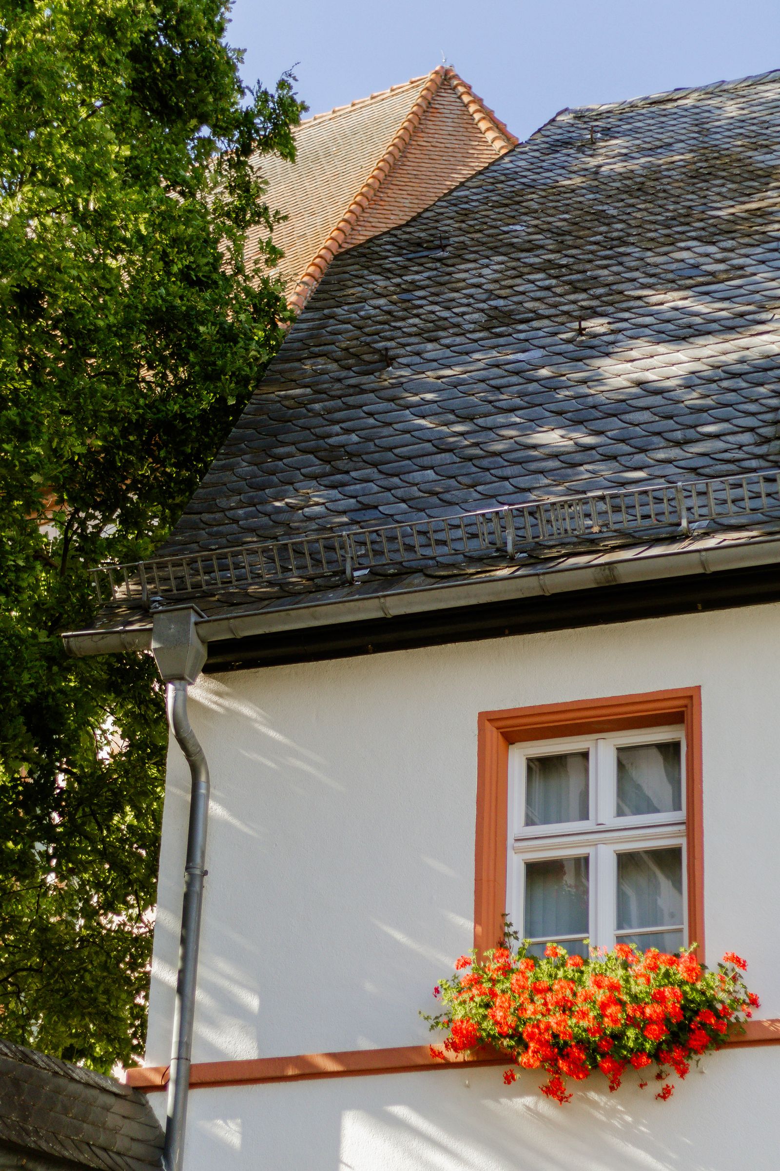 Clean gutters and fascia on a white rendered home